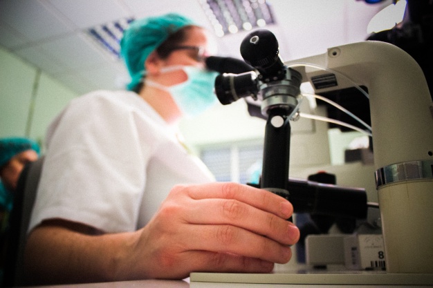 proveedores en Equipo para los diferentes laboratorios